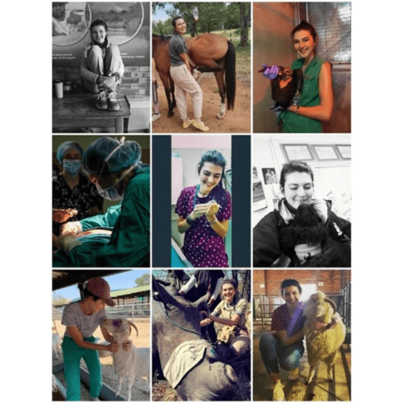 Vicky Jean McGee, South African vet with diverse experience treating wildlife and domestic animals, passionate about nature and animal welfare.