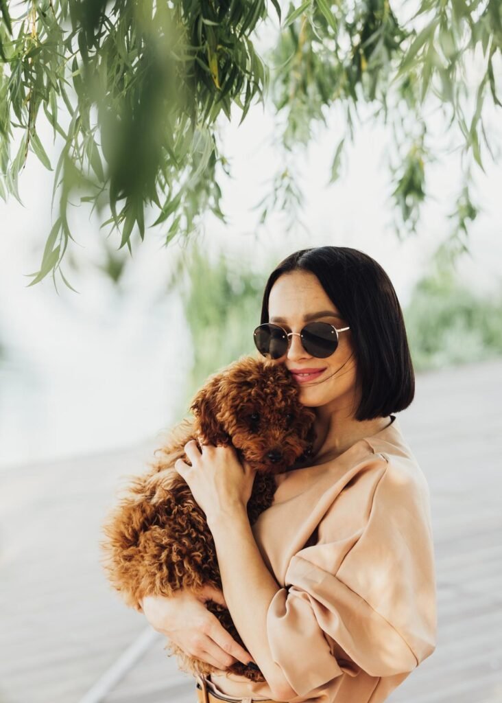 Young brunette woman holding on hands and hugging her little redhead dog breed toy poodle – Dog Vomiting Once vs. Multiple Times