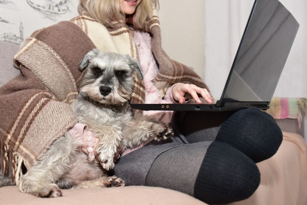 Lady in a warm plaid is sitting on a sofa watching movies on a laptop with her cute doggy