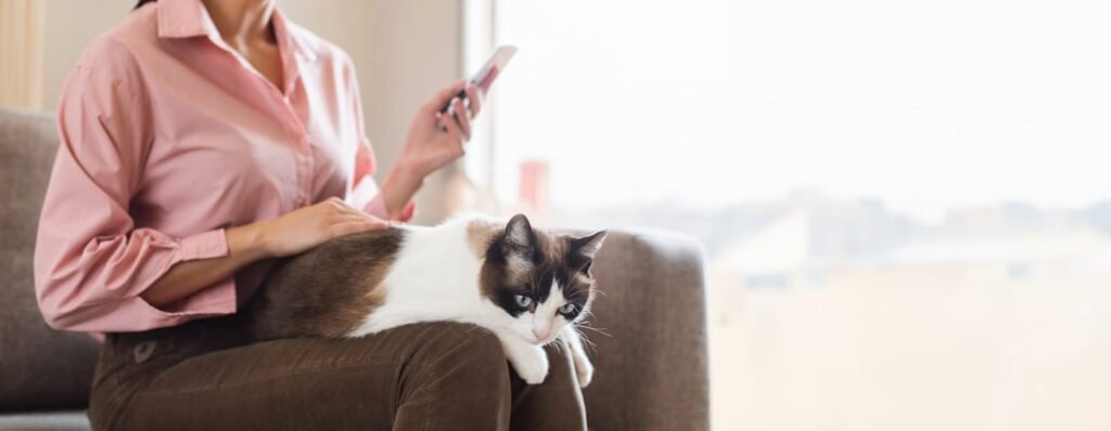 Unrecognizable young woman holding cat using smartphone at cozy home – Is It a Pet Emergency