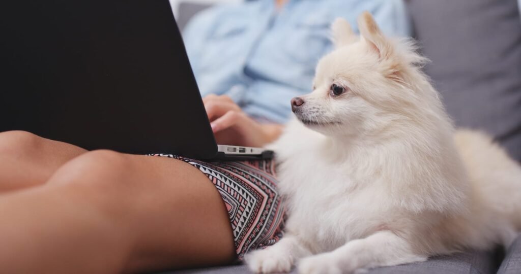 Woman working on laptop computer with her dog