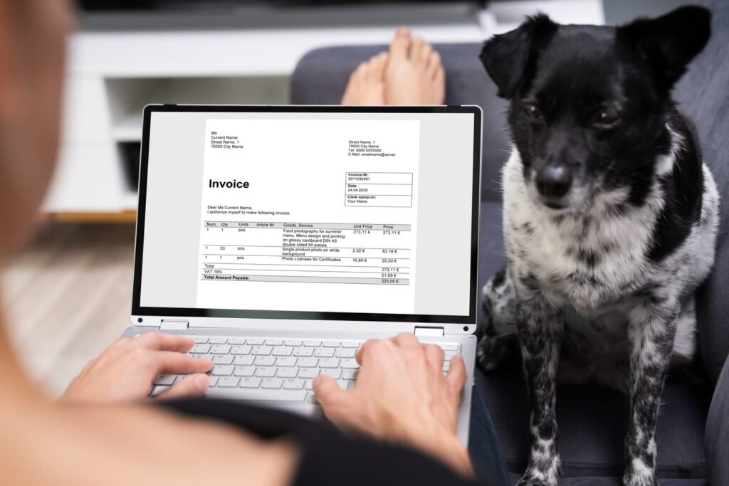 Using e invoice accounting software – How to Get the Most from Your Virtual Vet Visit