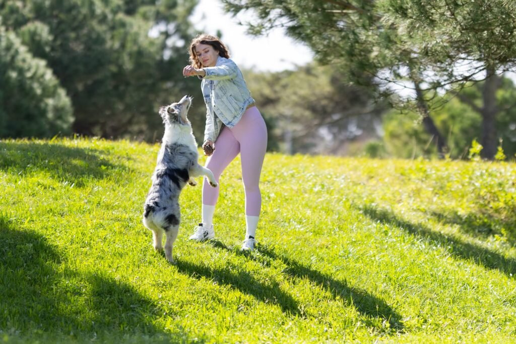 Woman training dog playing outdoors in park – How to Get the Most from Your Virtual Vet Visit