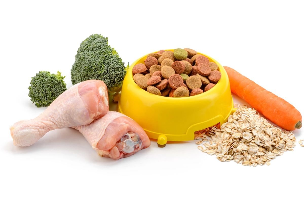 Dog food kibble chicken carrot - Bland Diet for Dogs: How to Make Chicken and Rice
