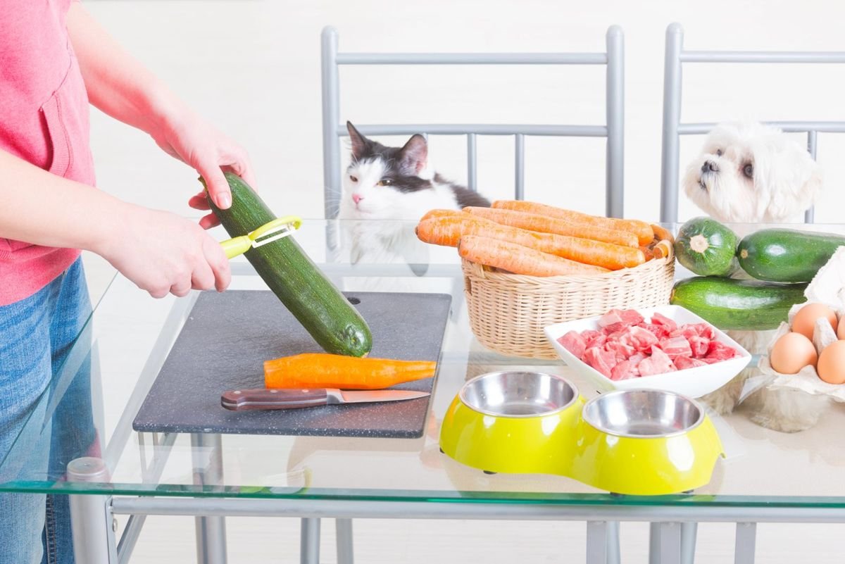 Dog cat food prep vegetables - Can Cats Eat Raw Chicken and Raw Meat