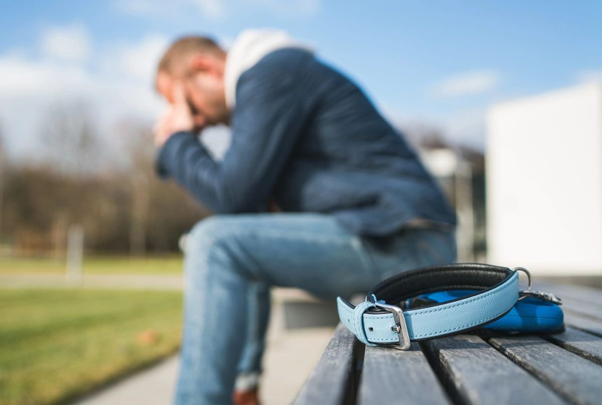 Human sad dog leash collar - Deaf Dogs: Signs of Hearing Loss and How to Help