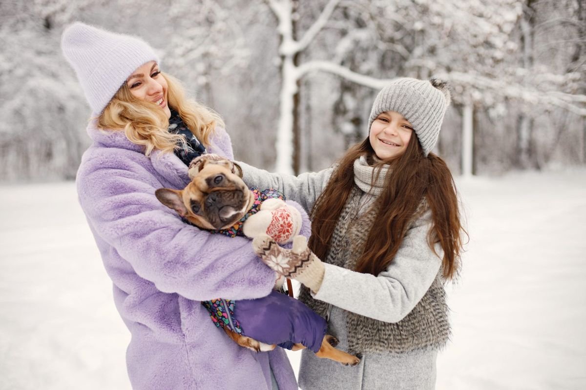 Dog winter snow human hold - Dog Nosebleeds: Causes and When to Worry