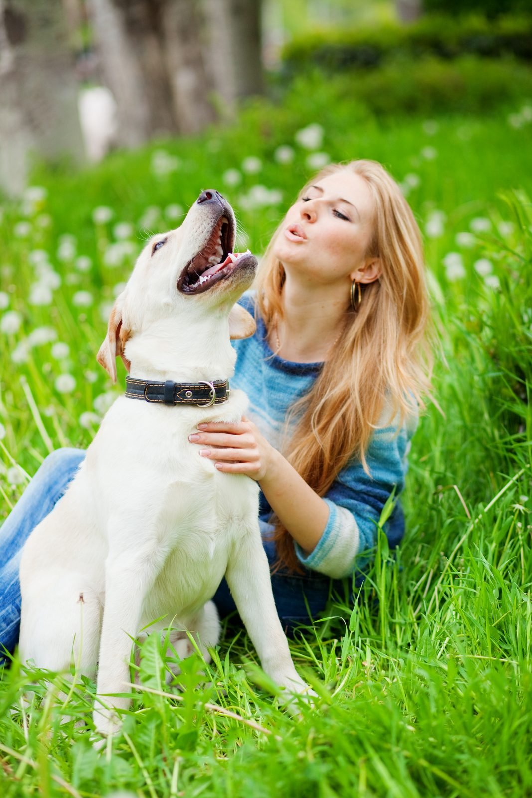 Woman and labrador looking up in grass portrait – dog throwing up blood