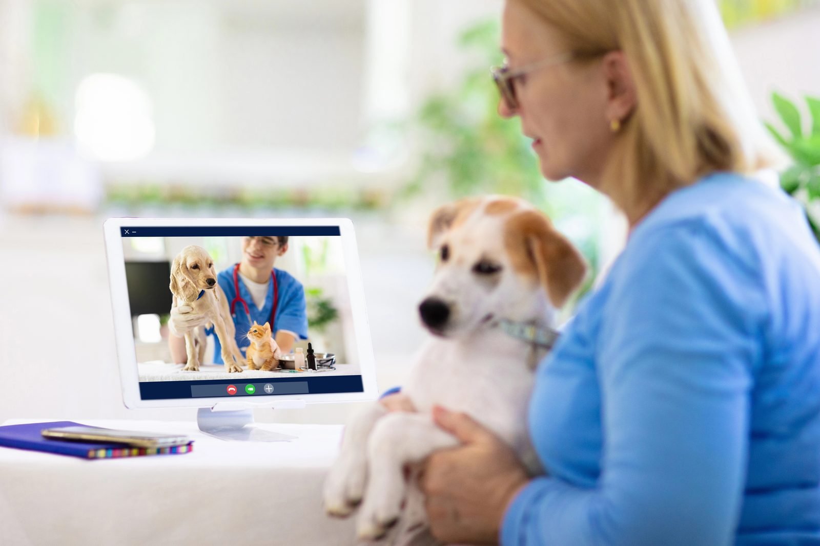Woman with puppy in online vet video call – virtual vet visit