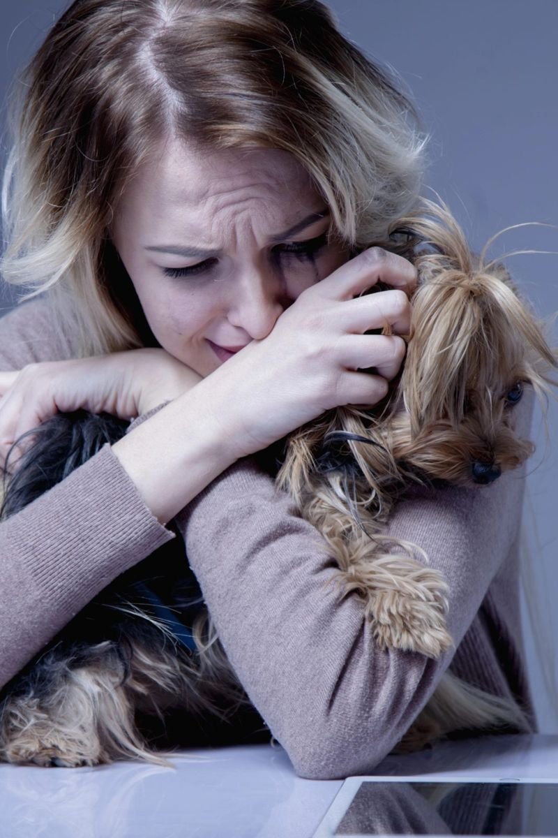 Human sad dog grief loss - Hair Loss in Dogs