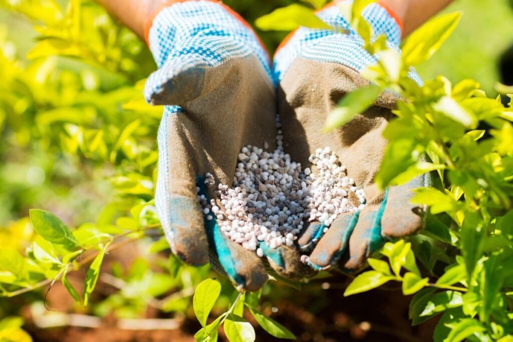 Fertilizer gloves - Is Fertilizer Bad for Dogs? Lawn and Garden Chemical Safety