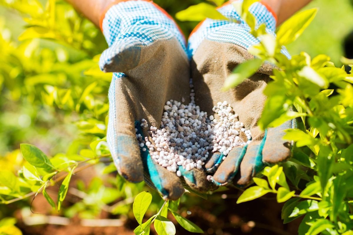 Fertilizer gloves - Is Fertilizer Bad for Dogs? Lawn and Garden Chemical Safety