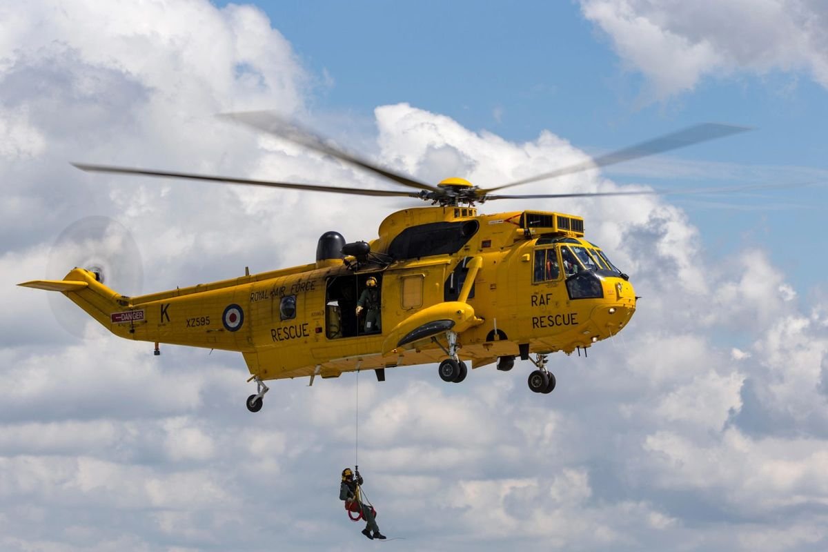 Helicopter - Matted Cat Fur: How to Remove and Prevent Mats