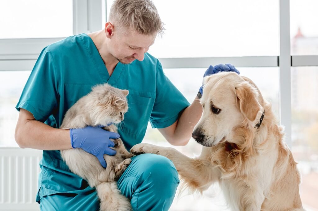 low cost vet
