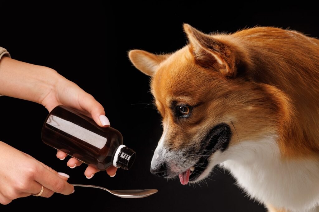 online pet pharmacy