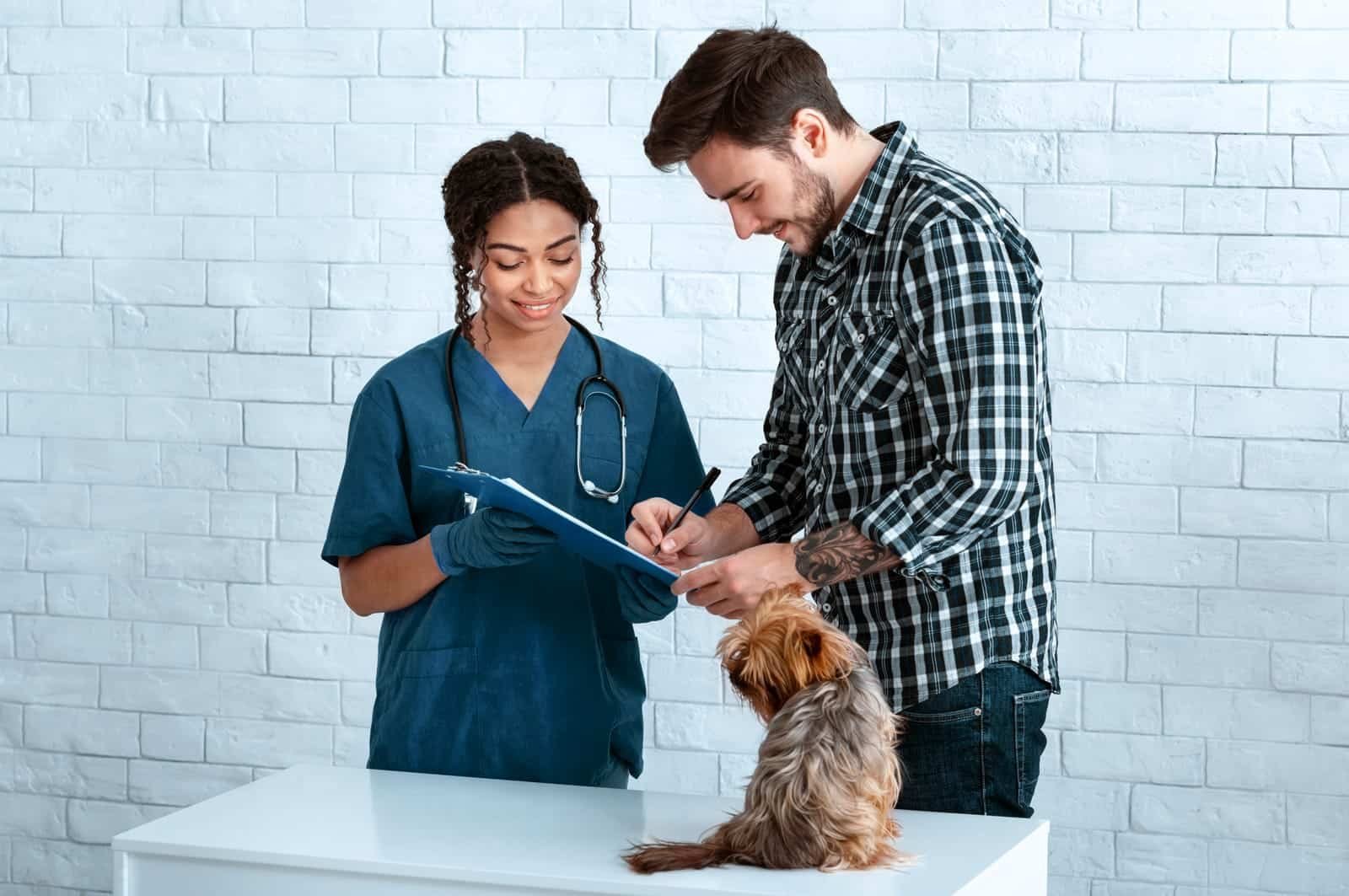 Veterinarian talking with a pet owner next to their small dog
