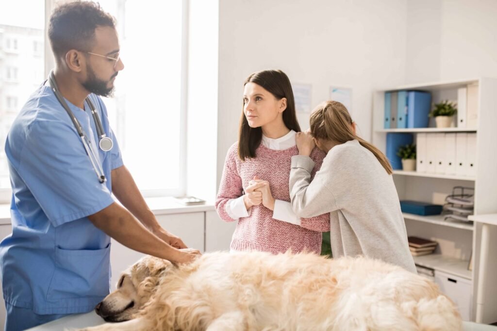 Veterinarian talking with a worried pet owner about a sick dog