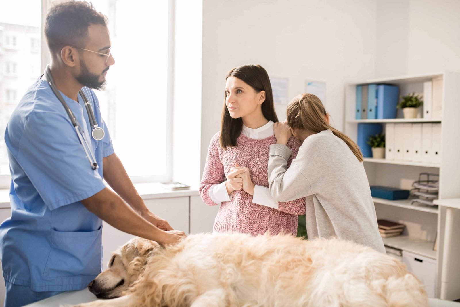 Veterinarian talking with a worried pet owner about a sick dog