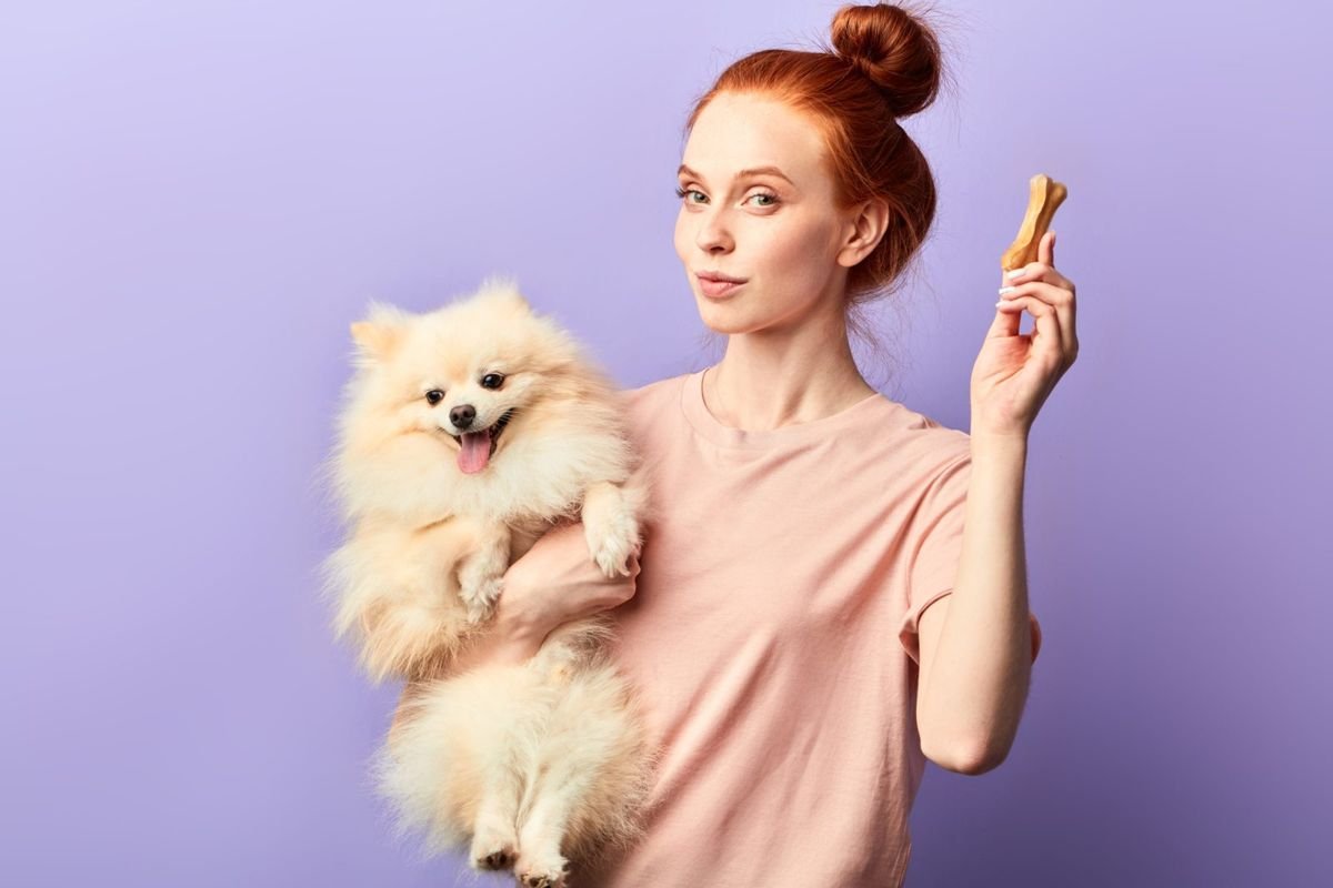 Dog pomeranian treat human - Puppy Socialization: What to Do and When
