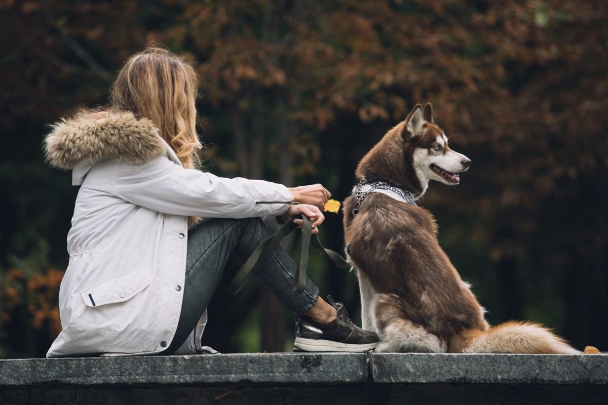 Dog husky human treat outdoor - Why Do Dogs Eat Poop? Causes and How to Stop It