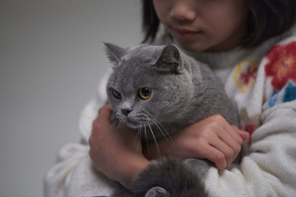 Cat hold child - Why Is My Cat Losing Weight