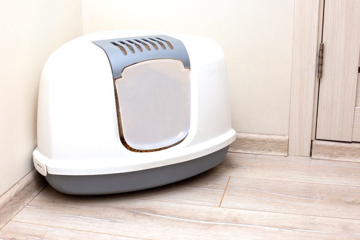 A large gray triangular plastic enclosed litter box for a cat